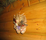 Зовнішній вигляд