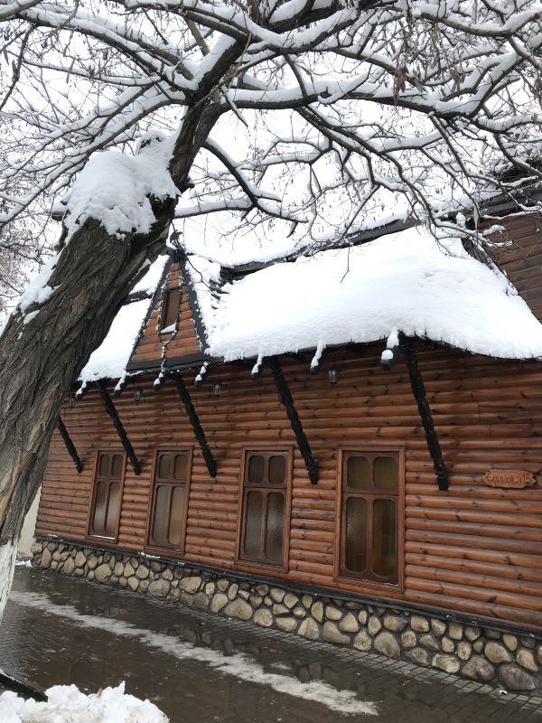 Зимній фасад комплексу